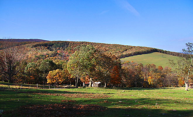포토 JPG 해외이미지 나무 계절 백그라운드 자연 하늘 산 풍경 사람없음 야외 목재 파란색 컬러풀 노란색 평화 환경 가을 시골 황무지 숲 언덕 장면 10월 해외202004 해외포토 식물 컬러 컨셉 재료 날짜 생태계 파일형식 이미지허브