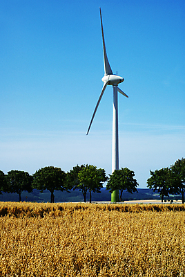포토 JPG 해외이미지 밭 날개 자연 하늘 바람 풍경 사람없음 초록색 여름 파란색 환경 힘 봄 풍차 발전기 에너지 흰색 칼날 생태계 방앗간 생태학 해외202004 해외포토 자연요소 계절 교육 컬러 농업 날씨 발전소 파일형식 이미지허브