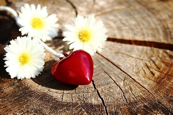 포토 JPG 해외이미지 꽃 행복 결혼 백그라운드 자연 결혼식 엄마 날씨 발렌타인데이 사람없음 목재 장식 빨간색 귀여움 맑음 하트 마음 시골 인사 생일 내추럴 어머니의날 해외202004 해외포토 모양 나무 식물 기념일 감정 컬러 컨셉 재료 가족 데이이벤트 이벤트 예절 생태계 미국문화 파일형식 이미지허브