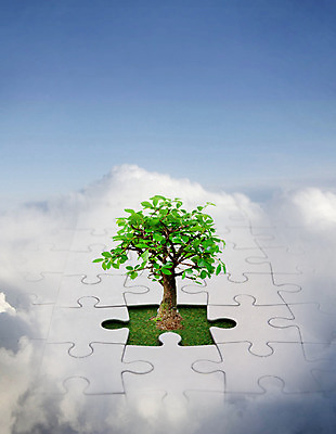 포토 JPG 해외이미지 나무 식물 구름 조각 비즈니스 상상 하늘 추상 아이디어 사람없음 꿈 성장 퍼즐 계획 연결 문제 해결 해외202004 해외포토 자연요소 컨셉 무늬 파일형식 이미지허브
