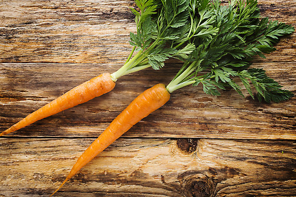 포토 JPG 해외이미지 음식 줄기 백그라운드 잎 농업 채소 오렌지 재료 건강 사람없음 초록색 당근 신선 그룹 다발 먹기 오브젝트 유기농 날것 흙더미 숙성 채식주의자 비건 해외202004 해외포토 식물 웰빙 산업 컬러 과일 모션 뿌리채소 흙 채식 파일형식 더미 이미지허브