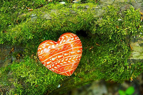 포토 JPG 해외이미지 나무 디자인 결혼 패턴 자연 결혼식 발렌타인데이 선물 사랑 사람없음 목재 빨간색 초록색 우정 하트 생일 메시지 심볼 사인 엽서 나무껍질 수목 어머니의날 해외202004 해외포토 모양 식물 기념일 감정 컬러 무늬 재료 데이이벤트 이벤트 친구 껍질 편지 생태계 미국문화 파일형식 이미지허브