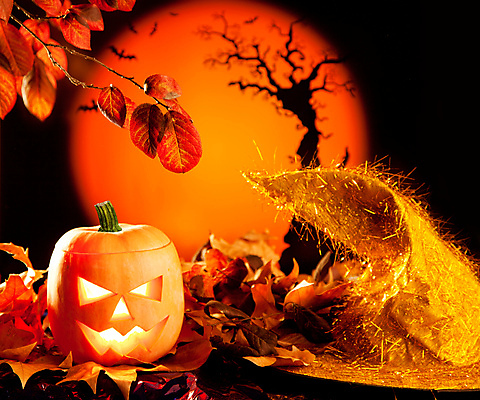 JPG 해외이미지 단풍 낙엽 호박 사람없음 할로윈 오브젝트 마녀모자 잭오랜턴 해외202004 해외포토 포토 모자_잡화 잎 채소 파일형식 이미지허브