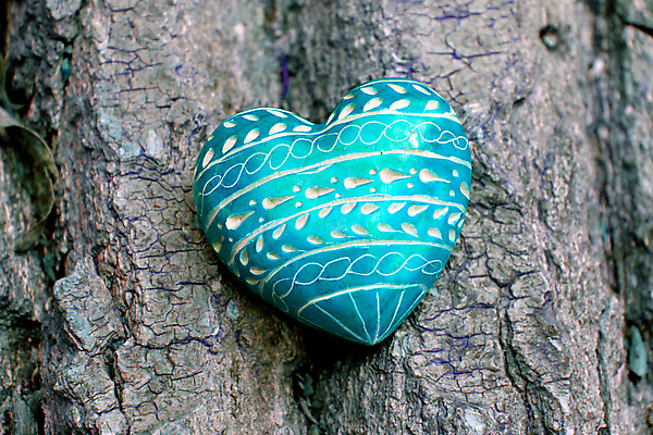 포토 JPG 해외이미지 나무 디자인 결혼 패턴 자연 결혼식 발렌타인데이 선물 사랑 사람없음 목재 빨간색 초록색 우정 바위 하트 생일 메시지 심볼 사인 엽서 나무껍질 수목 어머니의날 해외202004 해외포토 모양 식물 기념일 감정 컬러 무늬 재료 데이이벤트 이벤트 친구 껍질 돌_바위 편지 생태계 미국문화 파일형식 이미지허브