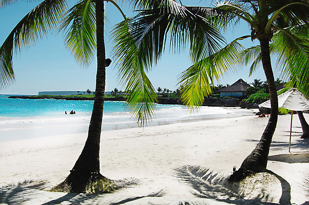 포토 JPG 해외이미지 나무 구름 모래 바다 섬 여행 태국 자연 하늘 휴가 열대 손바닥 풍경 사람없음 야외 초록색 물 여름 파란색 햇빛 태양 우주 일출 맑음 침묵 일몰 만 호주 휴양지 상승 장면 태평양 코코넛 파라다이스 카피스페이스 해외202004 해외포토 자연요소 식물 손 계절 아시아 컬러 컨셉 과일 날씨 노을 소리 공백 장소 오세아니아 생태계 파일형식 이미지허브