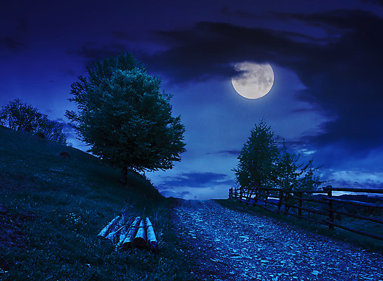 포토 JPG 해외이미지 공원 하늘 풍경 사람없음 야외 파란색 보름달 달 야간 공원길 해외202004 해외포토 자연요소 공공시설 길 컬러 파일형식 이미지허브