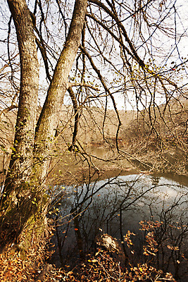 포토 JPG 해외이미지 나무 식물 호수 벤치 의자 자연 아침 국립공원 풍경 사람없음 야외 목재 물 컬러풀 햇빛 소풍 가을 숲 칠면조 해외202004 해외포토 주간 자연요소 계절 공원 컬러 가구 재료 조류 태양 야외활동 생태계 파일형식 이미지허브
