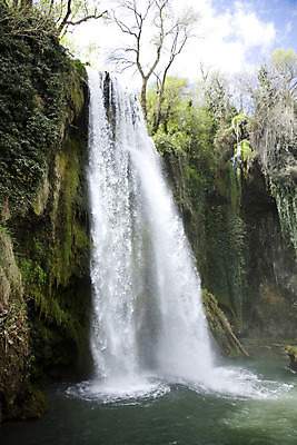 포토 JPG 해외이미지 나무 공원 벽 잎 자연 산 이끼 사람없음 강 폭포 흐름 개울 스페인 떨어짐 숲 제트기 아라곤 내추럴 해외202004 해외포토 식물 공공시설 유럽 컨셉 비행기 생태계 파일형식 이미지허브