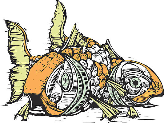 포토 JPG 해외이미지 호수 오렌지 저울 어류 사람없음 초록색 물 정원 수영 연못 지느러미 잉어 목판화 해외202004 해외포토 자연요소 컬러 과일 수중동물 수상스포츠 파일형식 이미지허브