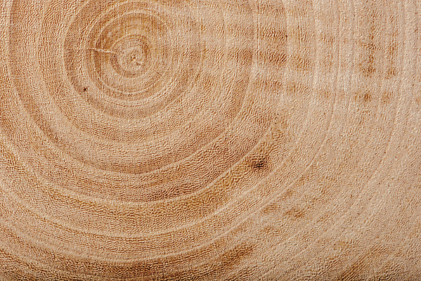 포토 JPG 해외이미지 나무 백그라운드 근접촬영 사람없음 목재 갈색 질감 나이테 카피스페이스 해외202004 해외포토 식물 뷰포인트 컬러 재료 공백 파일형식 이미지허브