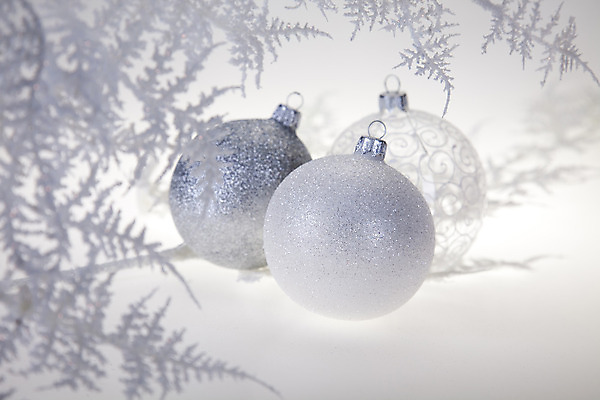 포토 JPG 해외이미지 잎 크리스마스장식 크리스마스 실내 사람없음 장식볼 오브젝트 흰배경 오너먼트 해외202004 해외포토 식물 기념일 백그라운드 내부 장식 흰색 파일형식 이미지허브