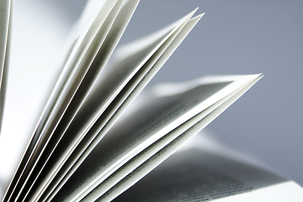 포토 JPG 해외이미지 종이 잎 사람없음 책 독서 기둥 도서관 읽기 문학 페이지 시트 해외202004 해외포토 식물 교육 건축 모션 파일형식 이미지허브