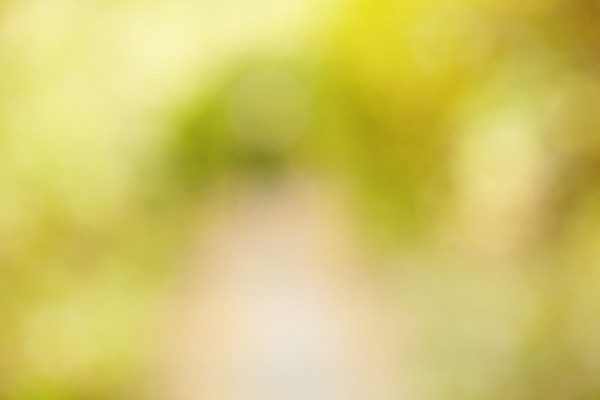 포토 JPG 해외이미지 식물 계절 공원 길 백그라운드 잎 패턴 오렌지 자연 추상 풍경 사람없음 야외 초록색 빛 컬러풀 노란색 정원 가을 오솔길 9월 유기농 질감 러시아 보케 10월 내추럴 해외202004 해외포토 웰빙 공공시설 유럽 컬러 무늬 과일 날짜 생태계 파일형식 이미지허브