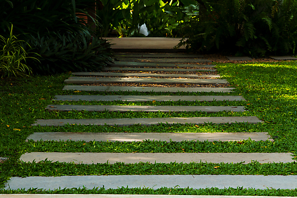 포토 JPG 해외이미지 나무 식물 디자인 공원 도로 길 백그라운드 잎 패턴 곡선 포장 자연 벽돌 바닥 풍경 잔디 사람없음 야외 초록색 여름 평화 정원 침묵 봄 산책 블록 바위 흰색 시골 보행로 오솔길 질감 조경 내추럴 뒤뜰 땅바닥 방법 양발 콘크리트 해외202004 해외포토 계절 공공시설 선 컬러 컨셉 무늬 교통시설 휴식 소리 돌_바위 생태계 파일형식 이미지허브