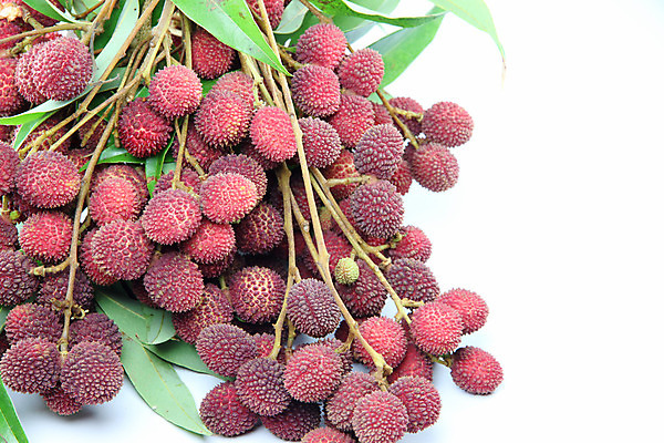 포토 JPG 해외이미지 음식 백그라운드 잎 다이어트 과일 재료 디저트 건강 동양인 사람없음 빨간색 껍질 신선 오픈 그룹 닫기 달콤 흰배경 날것 숙성 이국적 해외202004 해외포토 식물 컬러 모션 인종 흰색 맛 파일형식 이미지허브