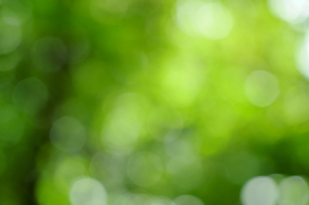 포토 JPG 해외이미지 식물 디자인 계절 공원 백그라운드 컨셉 잎 패턴 자연 탁자 추상 미술 잔디 사람없음 아웃포커스 초록색 여름 빛 컬러풀 햇빛 태양 우주 환경 정원 맑음 봄 활발 흰색 신선 닫기 소프트포커스 질감 보케 부드러움 내추럴 블러 생태학 효과 해외202004 해외포토 자연요소 공공시설 교육 컬러 가구 무늬 모션 날씨 문화예술 촬영기법 감각 생태계 파일형식 이미지허브