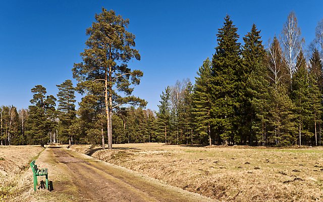 포토 JPG 해외이미지 나무 공원 벤치 자연 하늘 풍경 사람없음 야외 초록색 파란색 햇빛 노란색 맑음 봄 나뭇가지 숲 오솔길 전나무 배수구 땅바닥 해외202004 해외포토 식물 계절 공공시설 길 컬러 의자 날씨 바닥 태양 생태계 파일형식 이미지허브
