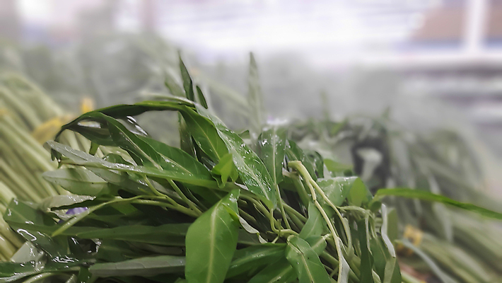 포토 JPG 해외이미지 식물 아시아 음식 백그라운드 잎 농업 다이어트 채소 태국 자연 고추 아침 건강 요리 동양인 사람없음 초록색 여름 정원 봄 튀김 신선 시장 유기농 원예 날것 해외202004 영광군 해외포토 주간 웰빙 계절 나라 산업 컬러 인종 취미 전라남도 생태계 파일형식 이미지허브