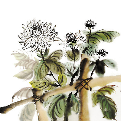 JPG 해외이미지 일러스트 붓터치 국화 미술 사람없음 울타리 먹 동양화 그림 번짐 해외202004 해외일러스트 꽃 서예 문화예술 담장 파일형식 효과 이미지허브