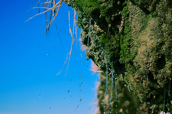 포토 JPG 해외이미지 나무 식물 디자인 계절 공원 호수 물결 모래 바다 백그라운드 패턴 자연 하늘 추상 산 이끼 경사 사람없음 야외 세로 초록색 물 파란색 연못 신선 거친 가장자리 숲 묘사 언덕 장면 내추럴 그런지 해일 그리너리 해외202004 해외포토 자연요소 공공시설 컬러 무늬 둘레 자연재해 생태계 파일형식 트랜드컬러 이미지허브