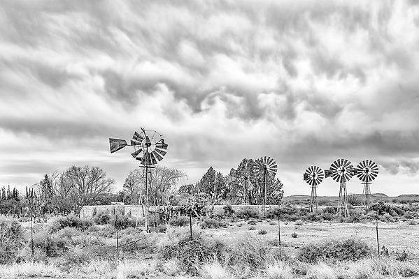 포토 JPG 해외이미지 아프리카 자연 아침 흑백 풍경 사람없음 농장 검은색 봄 회색 풍차 흰색 시골 그늘 관목 흐림 남아프리카 옛날 해외202004 해외포토 주간 나무 계절 나라 컬러 농업 날씨 촬영기법 생태계 파일형식 이미지허브