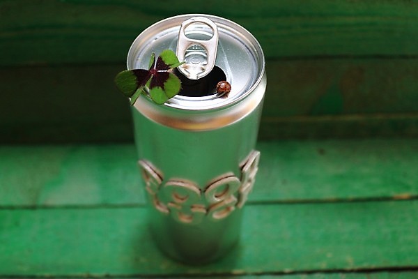 포토 JPG 해외이미지 디자인 백그라운드 잎 텍스트 성공 새로움 새해 사람없음 장식 희망 인사 최고 신용카드 생일 4 행운 재산 캔 클로버 은색 연도 무당벌레 해피뉴이어 아이비 마스코트 부적 해외202004 해외포토 식물 기념일 감정 컬러 곤충 컨셉 금융 숫자 새해인사 예절 파일형식 이미지허브