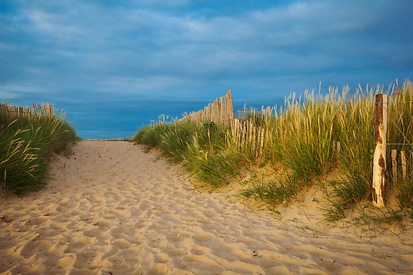 포토 JPG 해외이미지 유럽 길 모래 바다 여행 자연 하늘 풍경 사람없음 목재 초록색 물 여름 파란색 울타리 일몰 프랑스 오솔길 모래언덕 대서양 해외202004 해외포토 자연요소 나무 계절 나라 컬러 재료 담장 노을 언덕 생태계 파일형식 이미지허브