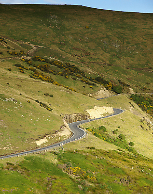 포토 JPG 해외이미지 모양 나무 공원 도로 길 여행 밭 곡선 교통시설 자연 풍경 사람없음 야외 초록색 컬러풀 노란색 평화 어둠 운전 가을 소나무 고속도로 숲 뉴질랜드 굴곡 지그재그 해외202004 해외포토 식물 계절 공공시설 선 컬러 교통 컨셉 농업 모션 오세아니아 시설 생태계 파일형식 이미지허브