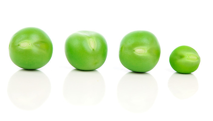 포토 JPG 해외이미지 식물 클리핑패스 음식 백그라운드 농업 다이어트 채소 재료 공 콩 건강 씨앗 사람없음 초록색 농작물 활발 수확 성장 흰색 신선 그룹 우아함 낟알 먹기 오브젝트 유기농 완두콩 날것 심플 내추럴 고립 숙성 줄서기 채식주의자 해외202004 해외포토 웰빙 산업 컬러 컨셉 모션 곡류 채식 파일형식 이미지허브