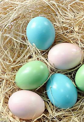 포토 JPG 해외이미지 전통 디자인 계절 분홍색 컨셉 오렌지 휴가 부활절 이벤트 사람없음 목재 장식 초록색 파란색 컬러풀 노란색 축제 봄 나뭇가지 축하 판넬 그리기 둥지 심볼 염색 삶기 터키석 해외202004 해외포토 나무 기념일 컬러 과일 재료 모션 보석 파일형식 이미지허브