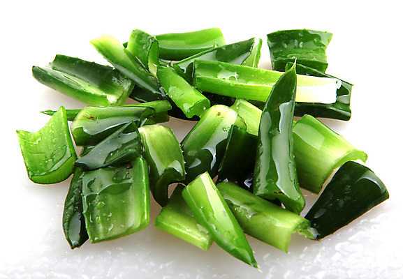 포토 JPG 해외이미지 사람없음 피부관리 흰배경 슬라이스 알로에 알로에베라 해외202004 해외포토 식물 백그라운드 뷰티 흰색 파일형식 이미지허브