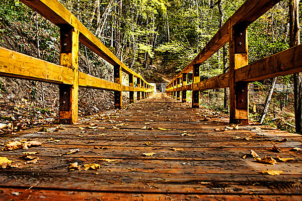 포토 JPG 해외이미지 식물 계절 공원 호수 여행 십자가 건축양식 자국 자연 산 안전 풍경 사람없음 야외 목재 초록색 여름 강 환경 맑음 봄 산책 트래킹 하이킹 탐험 가을 시골 연못 신선 개울 횡단보도 고독 보호 숲 땅 갑판 언덕 생태계 장면 암초 북쪽 내추럴 산악지대 건너기 넘어짐 무한 해외202004 해외포토 나무 공공시설 건축 감정 컬러 컨셉 배_교통 재료 모션 레저 날씨 휴식 보행로 방향 파일형식 이미지허브