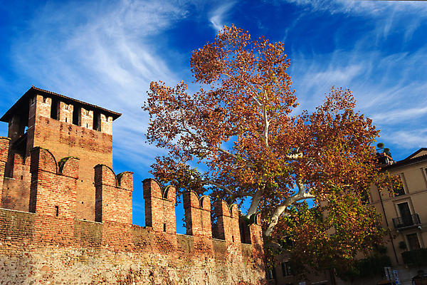포토 JPG 해외이미지 전통 유럽 기독교 종교 문화 여행 컨셉 십자가 건축양식 하늘 부활절 아이디어 사랑 사람없음 건물 성당 교회 탑 성경 희망 천주교 기도 축하 죽음 기둥 예수 영혼 역사 구출 심볼 타운 천국 첨탑 용서 바실리카 베로나 숭배 옛날 제단 스타일 해외202004 해외포토 건축물 기념일 건축 감정 나라 종교용품 종교건축 도시 도움 신_종교 파일형식 이미지허브