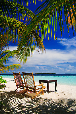 포토 JPG 해외이미지 나무 구름 모래 파도 바다 섬 여행 잎 2 의자 우산 자연 하늘 휴가 휴식 손바닥 풍경 사람없음 야외 가로 물 여름 파란색 햇빛 태양 여행객 침묵 흰색 휴게실 가장자리 그늘 휴양지 양산 장면 세이셸 몰디브 터키석 수평선 해외202004 해외포토 자연요소 식물 손 계절 아시아 컬러 가구 컨셉 아프리카 사람 소리 장소 둘레 보석 생태계 파일형식 이미지허브