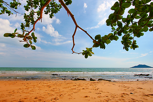 포토 JPG 해외이미지 나무 식물 아시아 모래 바다 섬 여행 잎 태국 자연 휴가 휴식 파노라마 풍경 사람없음 야외 초록색 물 여름 빛 햇빛 태양 환경 맑음 일몰 꿈 만 심볼 몰디브 이국적 터키석 파라다이스 해외202004 해외포토 자연요소 계절 나라 컬러 컨셉 날씨 촬영기법 노을 보석 생태계 파일형식 이미지허브