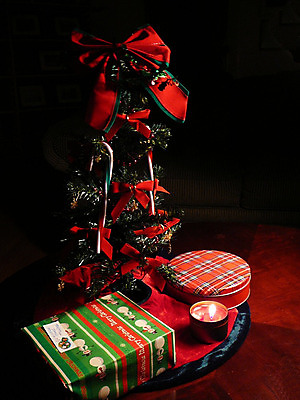 포토 JPG 해외이미지 나무 계절 크리스마스 겨울 휴가 선물 사람없음 장식 평화 축제 기쁨 주기 통조림 노엘 해외202004 해외포토 식물 기념일 감정 컨셉 모션 파일형식 이미지허브