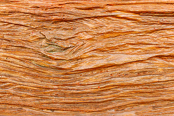 포토 JPG 해외이미지 나무 식물 전통 디자인 아시아 벽 백그라운드 패턴 태국 자연 벽지 탁자 표면 추상 바닥 건조 미술 사람없음 목재 장식 갈색 어둠 수확 반지 판넬 거친 널 숲 질감 복고 통나무 잡동사니 그런지 수목 옛날 합판 스타일 해외202004 해외포토 나라 컬러 가구 무늬 농업 재료 장신구 문화예술 생태계 파일형식 이미지허브