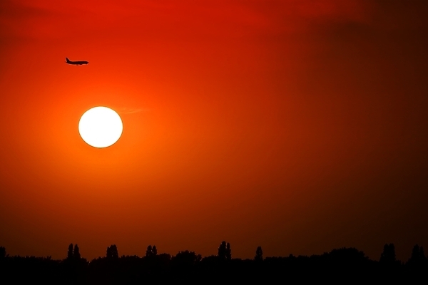 포토 JPG 해외이미지 나무 실루엣 백그라운드 오렌지 하늘 비행기 독일 사람없음 빨간색 태양 노란색 일출 일몰 황금 땅 항공 스카이라인 대패 카피스페이스 해외202004 해외포토 자연요소 식물 유럽 컬러 과일 항공교통 대중교통 촬영기법 노을 공백 파일형식 이미지허브