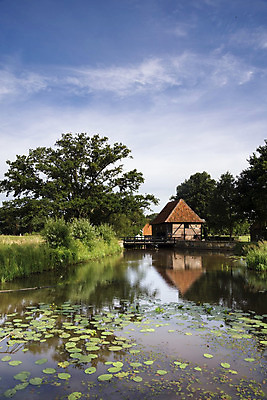 포토 JPG 해외이미지 나무 구름 자연 풍경 사람없음 건물 연못 역사 기념물 천연기념물 방앗간 해외202004 해외포토 자연요소 식물 건축물 생태계 파일형식 이미지허브