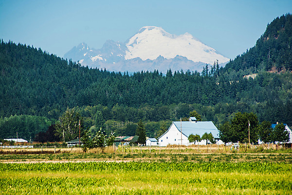 포토 JPG 해외이미지 산 풍경 사람없음 야외 농장 외양간 워싱턴 해외202004 해외포토 농업 미국 파일형식 이미지허브