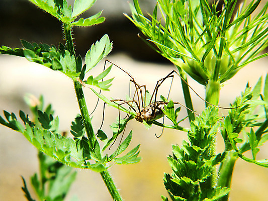 포토 JPG 해외이미지 사람없음 동물상 해외202004 해외포토 조형물 파일형식 이미지허브