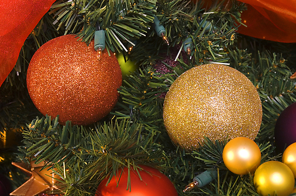 포토 JPG 해외이미지 나무 전통 별 리본 크리스마스 공 전등 사람없음 장식 컬러풀 물방울 소나무 빛망울 인공 해외202004 해외포토 자연요소 식물 기념일 컬러 조명 빛 파일형식 이미지허브