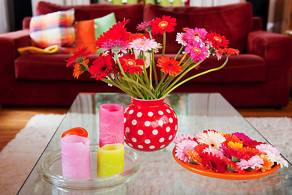 포토 JPG 해외이미지 꽃 분홍색 꽃다발 벤치 오렌지 유리 탁자 실내 사람없음 내부 빨간색 점 다발 배열 해외202004 해외포토 식물 컬러 가구 의자 과일 재질 파일형식 이미지허브