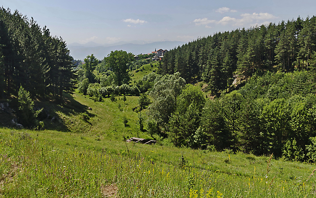 포토 JPG 해외이미지 나무 구름 꽃 하늘 산 주택 그림자 사람없음 건물 약초 숲 허브 침엽수 해외202004 해외포토 자연요소 식물 건축물 풀_식물 파일형식 이미지허브