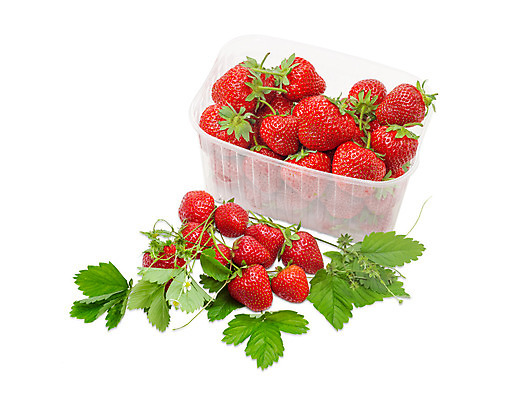 포토 JPG 해외이미지 식물 열매 꽃 음식 줄기 잎 농업 과일 자연 딸기 디저트 사람없음 수확 신선 컨테이너 플라스틱 아로마 고립 숙성 채식주의자 해외202004 해외포토 산업 재질 생태계 채식 파일형식 이미지허브