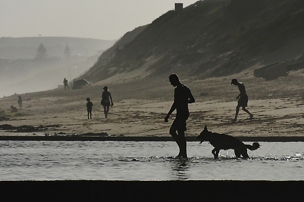 포토 JPG 해외이미지 동물 라이프스타일 계절 실루엣 모래 바다 여행 백그라운드 조류 날씨 휴가 사람 풍경 사람없음 야외 가로 물 여름 파란색 햇빛 사진촬영 회색 뜨거움 양치기 개 모래언덕 당구 송곳니 남아프리카 동반자 해외202004 해외포토 자연요소 직업 컬러 포유류 아프리카 촬영기법 생활 태양 구기 촬영 치아 언덕 파일형식 이미지허브