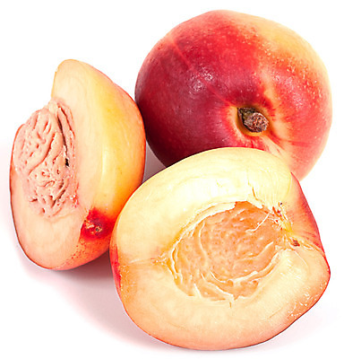 포토 JPG 해외이미지 음식 과일 자연 사람없음 빨간색 흰색 신선 달콤 먹기 오브젝트 날것 복숭아 고립 천도복숭아 해외202004 해외포토 컬러 모션 맛 생태계 파일형식 이미지허브