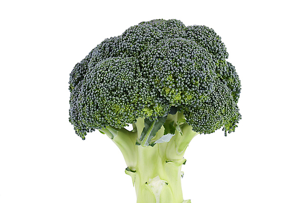 포토 JPG 해외이미지 음식 줄기 잎 다이어트 채소 건강 요리 사람없음 초록색 컬러풀 요식업 저녁식사 흰색 신선 최고 고명 몸무게 브로콜리 날씬함 유기농 날것 칼로리 섬유 성분 내추럴 점심식사 고립 식욕 적자 해외202004 해외포토 식물 웰빙 산업 컬러 식사 직물 몸매 파일형식 이미지허브