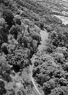 포토 JPG 해외이미지 나무 식물 공원 여행 백그라운드 잎 자연 열대 산 풍경 사람없음 야외 목재 초록색 물 여름 갈색 환경 봄 폭포 흐름 성장 덮개 신선 황무지 재산 호주 숲 열대우림 암초 남쪽 내추럴 이국적 전국 그리너리 해외202004 해외포토 자연요소 계절 공공시설 컬러 컨셉 재료 금융 뚜껑 오세아니아 방향 생태계 파일형식 트랜드컬러 이미지허브