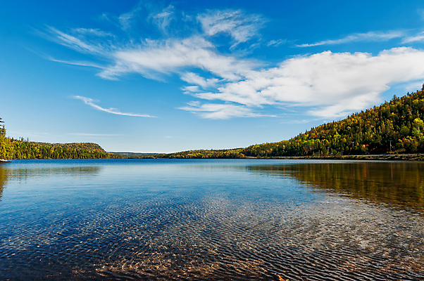 포토 JPG 해외이미지 나무 구름 계절 호수 바다 잎 오렌지 자연 하늘 표면 풍경 사람없음 야외 목재 빨간색 초록색 물 파란색 컬러풀 햇빛 반사 노란색 맑음 가을 흰색 소나무 황무지 황금 숲 장면 내추럴 해외202004 해외포토 자연요소 식물 컬러 과일 재료 날씨 태양 생태계 파일형식 이미지허브